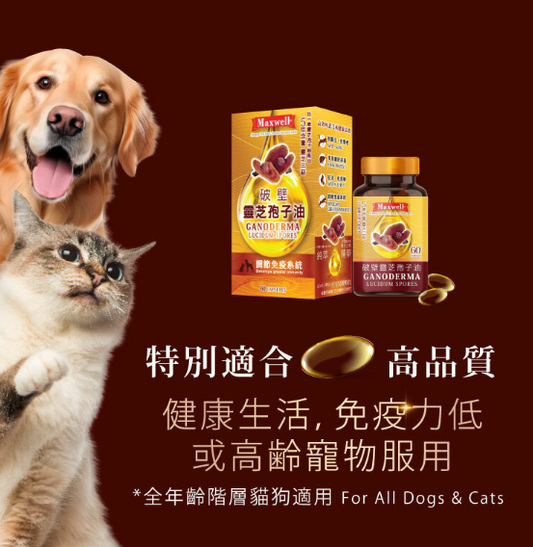 Maxwell®⎜純破壁靈芝孢子油 60粒 貓狗食用