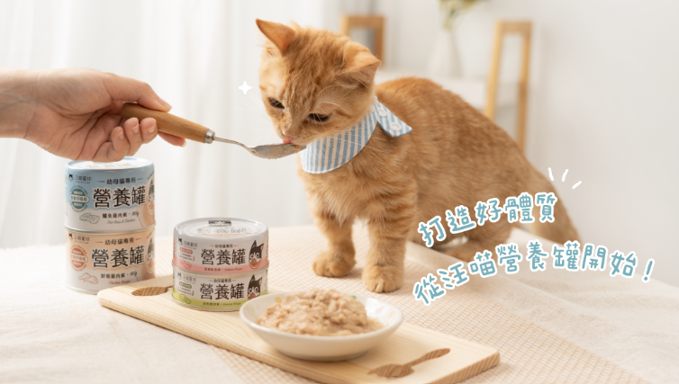 【黃金發育期專用】*汪喵星球* 幼母貓營養無膠主食罐 (80g) | 4款口味・高鈣發育配方・絕不含卡拉膠