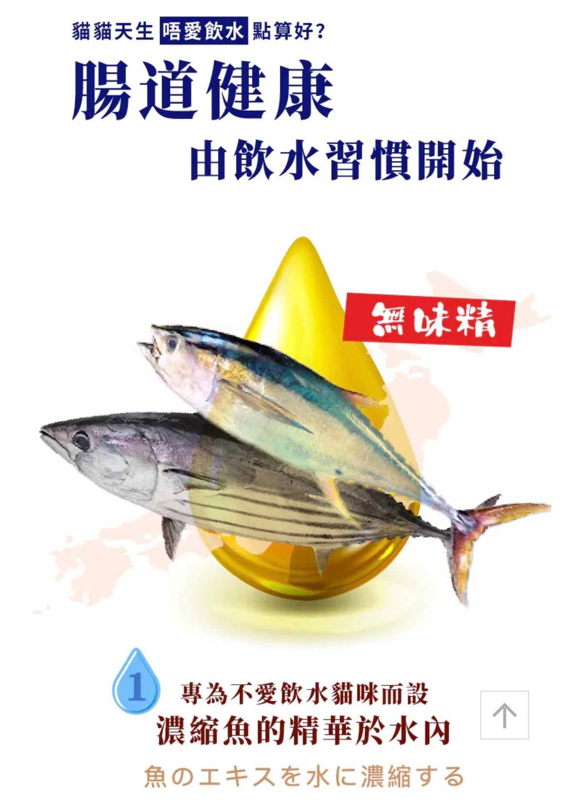 【日本三洋食品】たまの伝説 貓之水滴 補水湯包 雞胸肉味 30g(100億乳酸菌+去毛球配方|低鈉低負擔)1包