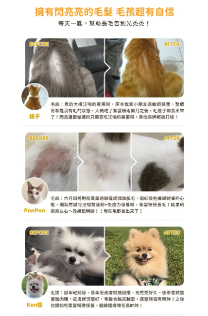 【台灣汪喵星球】亮毛護膚鱉蛋粉 60g | 貓狗通用爆毛神物/改善掉毛護膚 HK$128