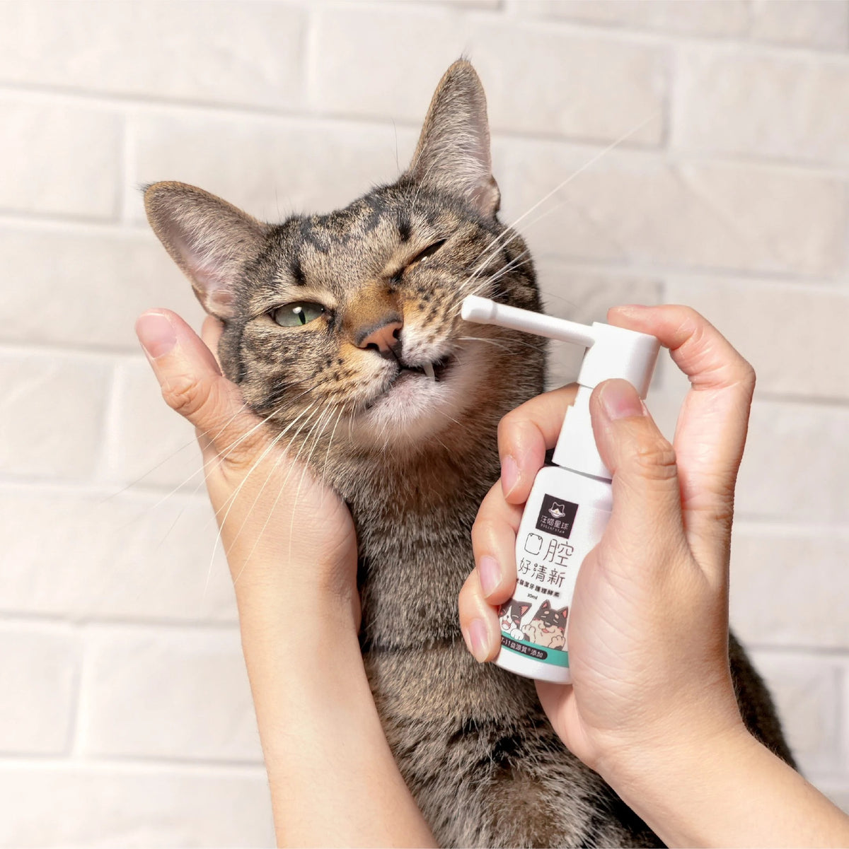 汪喵星球 潔牙護理酵素｜犬貓潔牙酵素 30ml [貓狗用】消除口腔異味、幫助控制牙垢