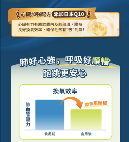 【汪喵星球】呼吸道保健粉 (30包/盒) ｜ 4效合一・氣管與心肺全方位日常保養（換季咳咳必備）