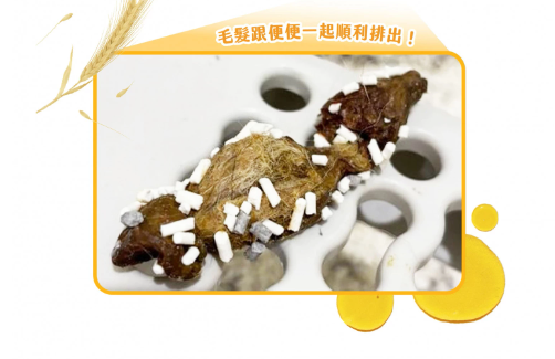 汪喵星球 排毛粉｜寵物天然排毛粉 【貓狗食】50g  内有小湯匙 最有效排毛食用首選 ３效合力排毛