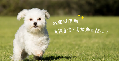 【汪喵星球】皮膚益生菌 (30包/盒) ｜ 益生菌 X 護膚營養雙效合一・舒緩日常抓癢敏感（犬貓通用）