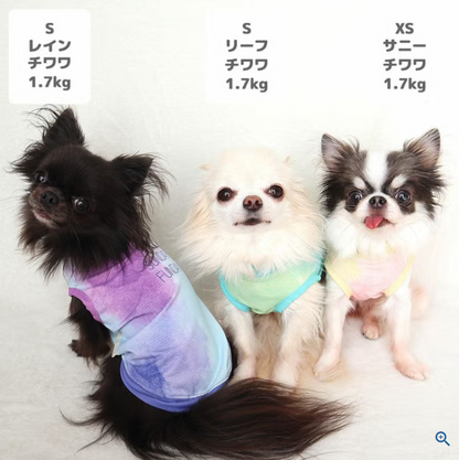 【日本 IDOG & ICAT】日本直送 貓狗通用夏日清涼驅蚊背心｜雙重降溫防蚊蟲｜HK$188 寵物服裝