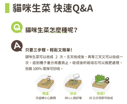 【汪喵星球】貓草新鮮栽培盒 | 貓咪生菜 天然排毛小麥草 單盒裝 $42/盒 - 天然纖維幫助排毛球