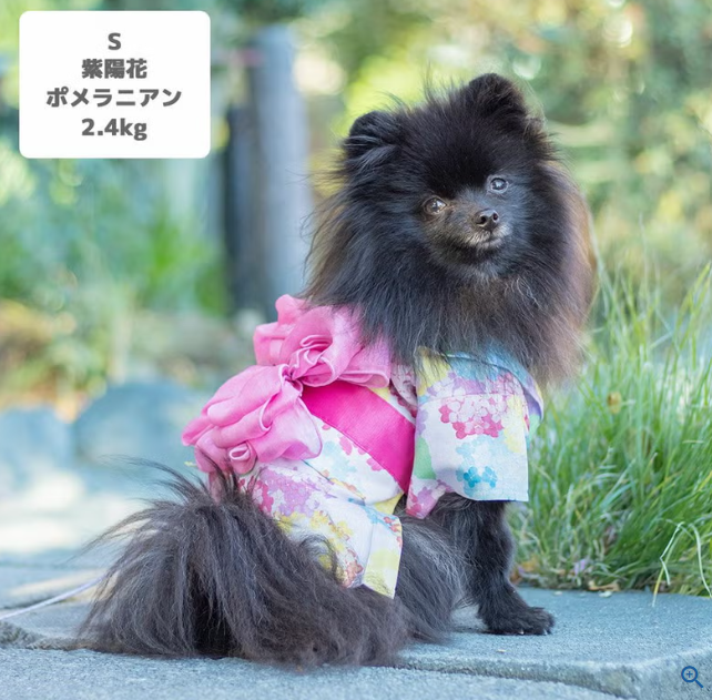 【日本品牌 IDOG & ICAT直送】MOSCAPE 專利防蚊華麗腰帶狗狗浴衣 | 日本夏日祭典和服 (6款花色)