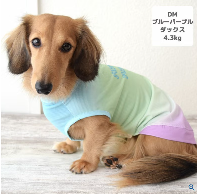 【日本 IDOG & ICAT】日本直送 貓狗通用夏日清涼驅蚊背心｜雙重降溫防蚊蟲｜HK$188 寵物服裝