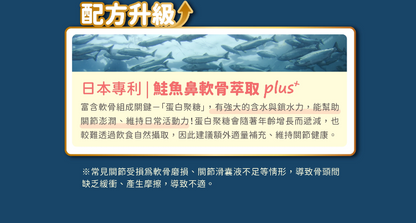 汪喵星球｜UC-II 關節保養粉（MSM 強效加強配方）35顆/120顆 裝 【進階修護，舒緩關節不適感】【貓狗保健】