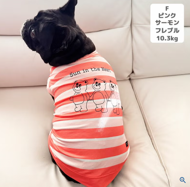 【日本 IDOG & ICAT】日本直送 貓狗通用夏日清涼驅蚊背心｜雙重降溫防蚊蟲｜HK$188 寵物服裝
