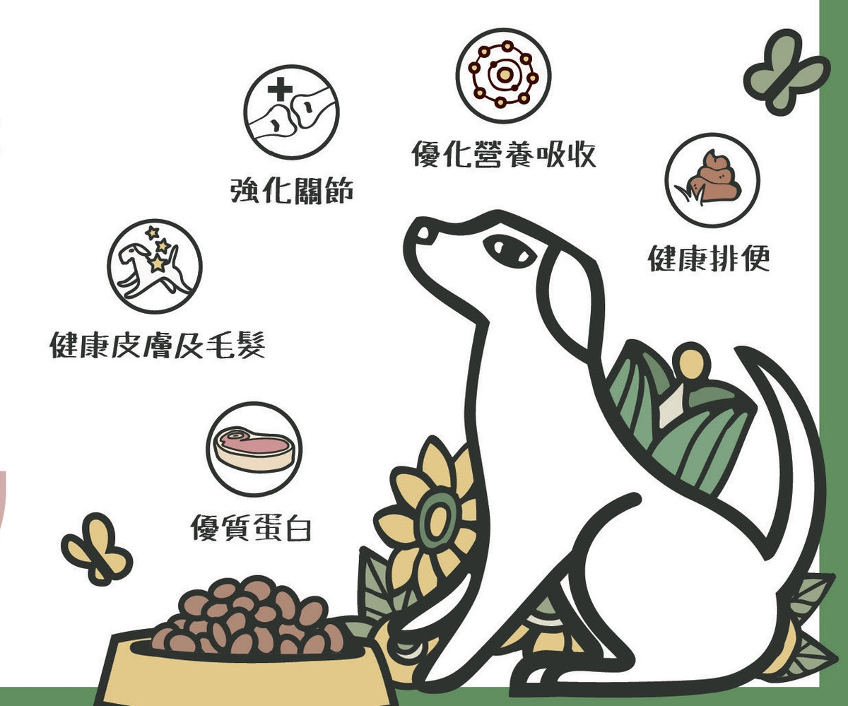 英國Lily's Kitchen 無穀物農場滋味餐（雞肉鴨肉）2.5kg成犬狗糧【狗食用】