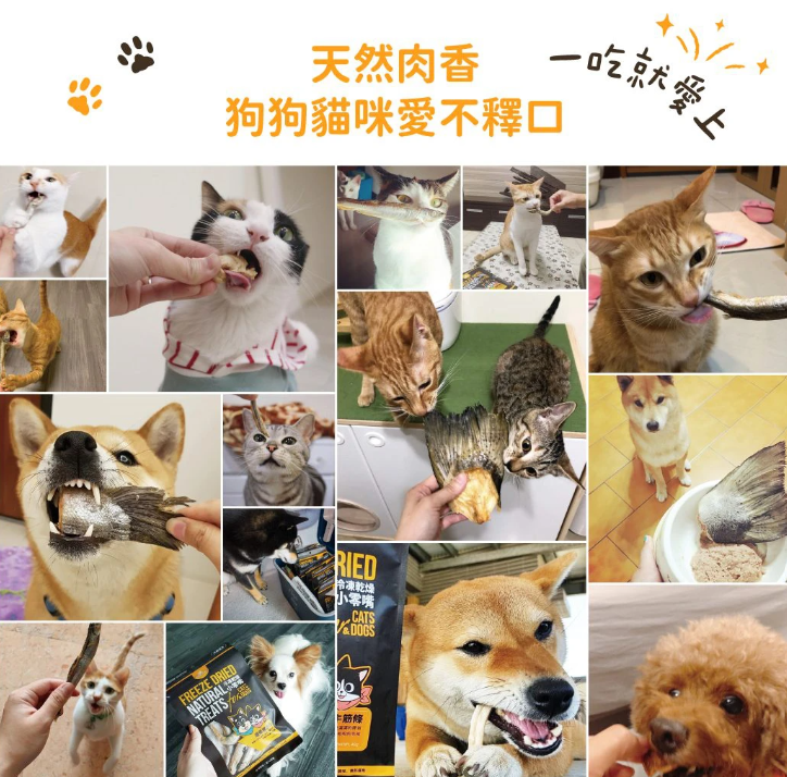 【汪喵星球】 滋補牛心丁 40g | 犬貓冷凍乾燥原肉小食 補鐵護心貓狗凍乾零食