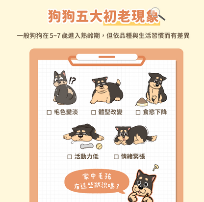【汪喵星球】 熟齡犬無膠銀養主食罐 80g | 老狗罐頭 心血管腎臟保健低鈉高機能狗主食罐 單罐 $16