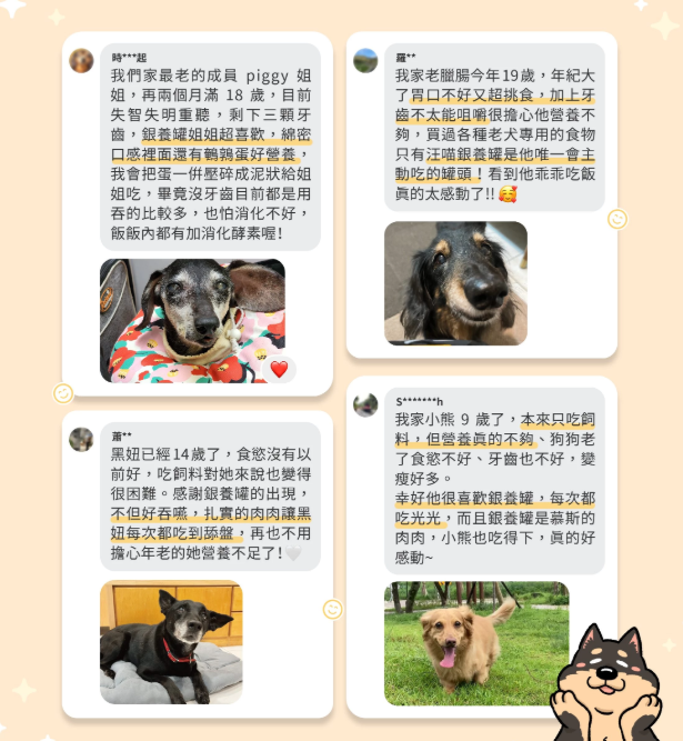 【汪喵星球】 熟齡犬無膠銀養主食罐 80g | 老狗罐頭 心血管腎臟保健低鈉高機能狗主食罐 單罐 $16