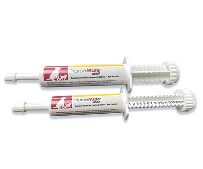 【極速補充抵抗力】美國 NurseMate 奶滋味 ASAP 牛初乳營養膏 (15ml / 30ml) | 貓狗通用・病後術後・體弱初生必備