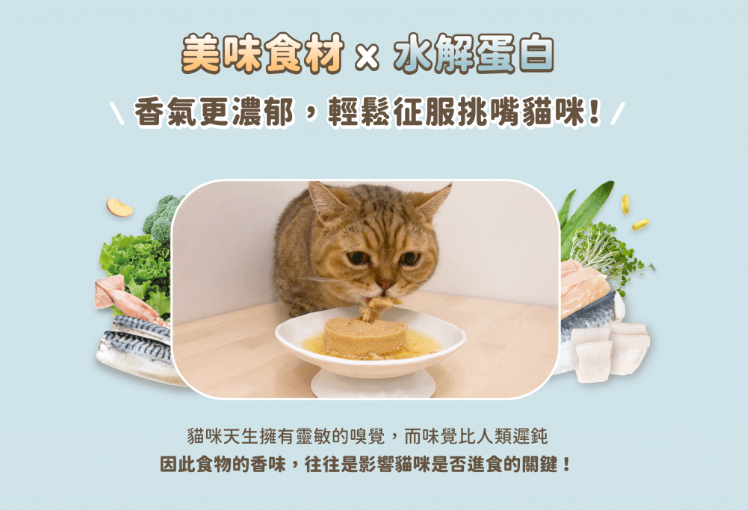 【腎臟與熟齡貓照護】汪喵星球 *貓咪低磷低蛋白無膠主食罐 (80g) | 多款口味・輕鬆補水・減輕身體負擔