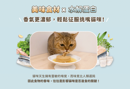 【腎臟與熟齡貓照護】汪喵星球 *貓咪低磷低蛋白無膠主食罐 (80g) | 多款口味・輕鬆補水・減輕身體負擔