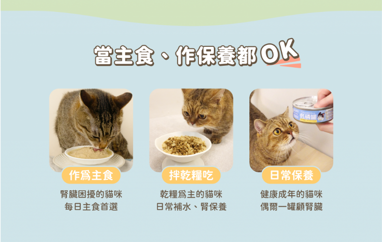 【腎臟與熟齡貓照護】汪喵星球 *貓咪低磷低蛋白無膠主食罐 (80g) | 多款口味・輕鬆補水・減輕身體負擔