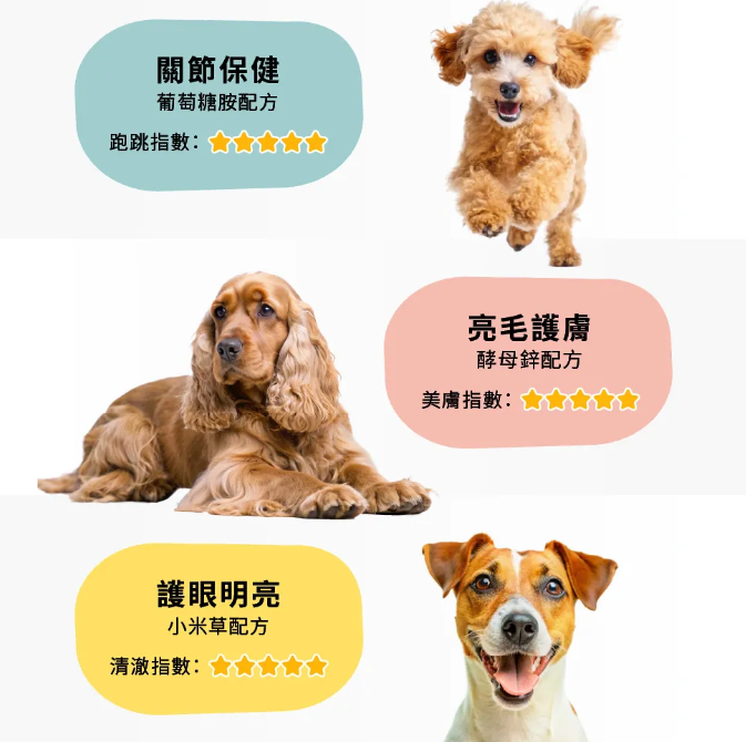 台灣【HeroMama】蒸鮮棒棒腿 | 原隻雞腿 犬貓零食 機能保健x蜂王乳特調 (單支裝)55g