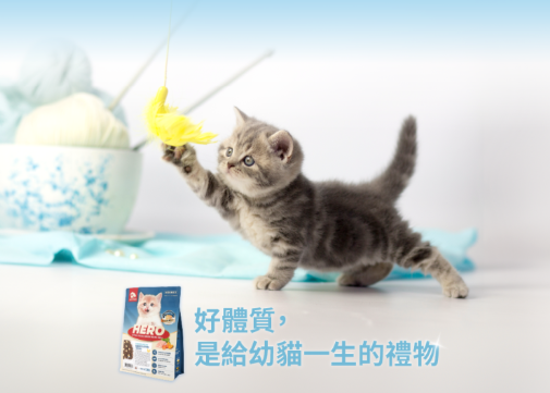 台灣【HeroMama】 幼貓初乳晶球糧 | 2個月-1歲幼貓飼料 初乳凍乾 關鍵免疫轉食小顆粒 (300g/1.2kg)