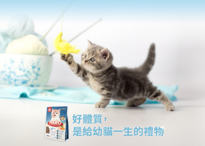 台灣【HeroMama】 幼貓初乳晶球糧 | 2個月-1歲幼貓飼料 初乳凍乾 關鍵免疫轉食小顆粒 (300g/1.2kg)