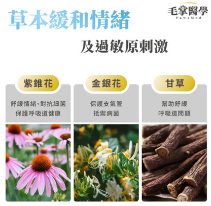 台灣【毛掌醫學】狗狗呼吸道氣管順暢保養粉 | 舒緩氣管不適 漢方萃取 狗狗支氣管保健‘’適合氣管下榻‘’ 50g