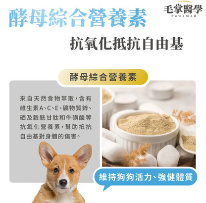 台灣【毛掌醫學】狗狗呼吸道氣管順暢保養粉 | 舒緩氣管不適 漢方萃取 狗狗支氣管保健‘’適合氣管下榻‘’ 50g