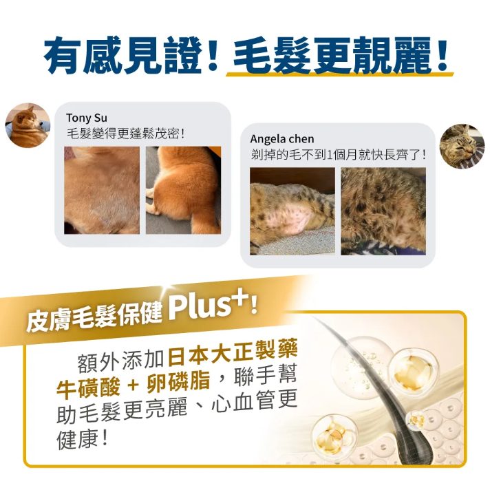 台灣【毛掌醫學】德國頂級KD魚油 保健肉泥 | 93%高濃度Omega-3 貓狗通用 寵物純魚油 (4條/30條入)