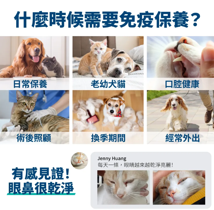 台灣【毛掌醫學】固免疫 保健肉泥 | 7合1複方 提升貓狗抵抗力 離胺酸足量 寵物免疫保健 (4條/30條入)
