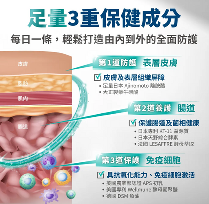 台灣【毛掌醫學】固免疫 保健肉泥 | 7合1複方 提升貓狗抵抗力 離胺酸足量 寵物免疫保健 (4條/30條入)