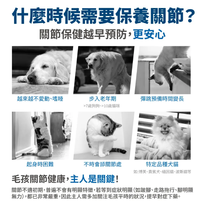台灣【毛掌醫學】護關節保健肉泥 貓狗適用 (4入/30入)｜強效潤滑、維持關節靈活、強健肌肉