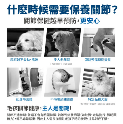 台灣【毛掌醫學】護關節保健肉泥 貓狗適用 (4入/30入)｜強效潤滑、維持關節靈活、強健肌肉