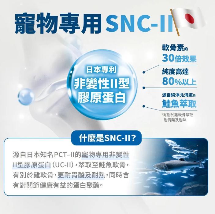 台灣【毛掌醫學】護關節保健肉泥 貓狗適用 (4入/30入)｜強效潤滑、維持關節靈活、強健肌肉