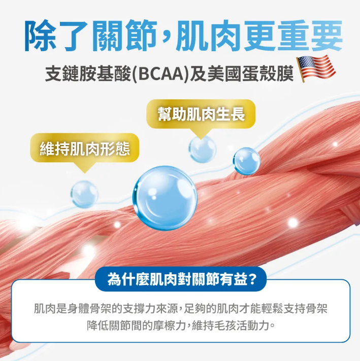 台灣【毛掌醫學】護關節保健肉泥 貓狗適用 (4入/30入)｜強效潤滑、維持關節靈活、強健肌肉