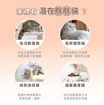 台灣【汪喵星球】貓咪低脂無膠主食罐 80g（4款口味｜體重控制／低卡首選）