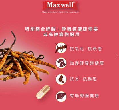 Maxwell|CS4蟲草膠囊60粒 貓狗食用  適合哮喘·呼吸道健康需要或有助腎臟健康