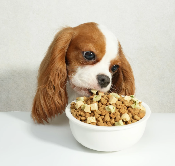 【汪喵星球】犬用 慢烘鮮食蔬肉糧 0.5lb / 2.0lb（鮮蔬嫩雞／鮮蔬牛魚｜最接近鮮食的慢烘糧）