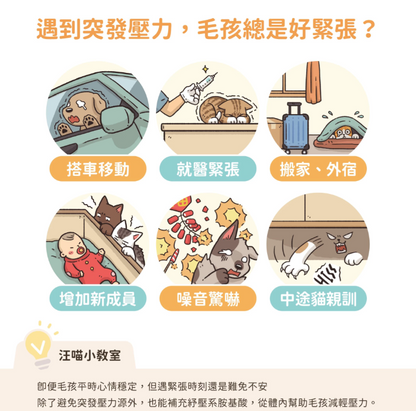 【台灣汪喵星球】99% 純牛磺酸 100g | 貓咪必需胺基酸/顧心臟視網膜保健 HK$135