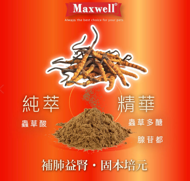 Maxwell|CS4蟲草膠囊60粒 貓狗食用  適合哮喘·呼吸道健康需要或有助腎臟健康