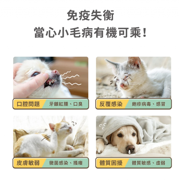汪喵星球 免疫力健康保養粉 50粒裝（升級版）適合流鼻水·淚水·感冒症狀或增强抵抗力避免容易生病【貓狗食用】