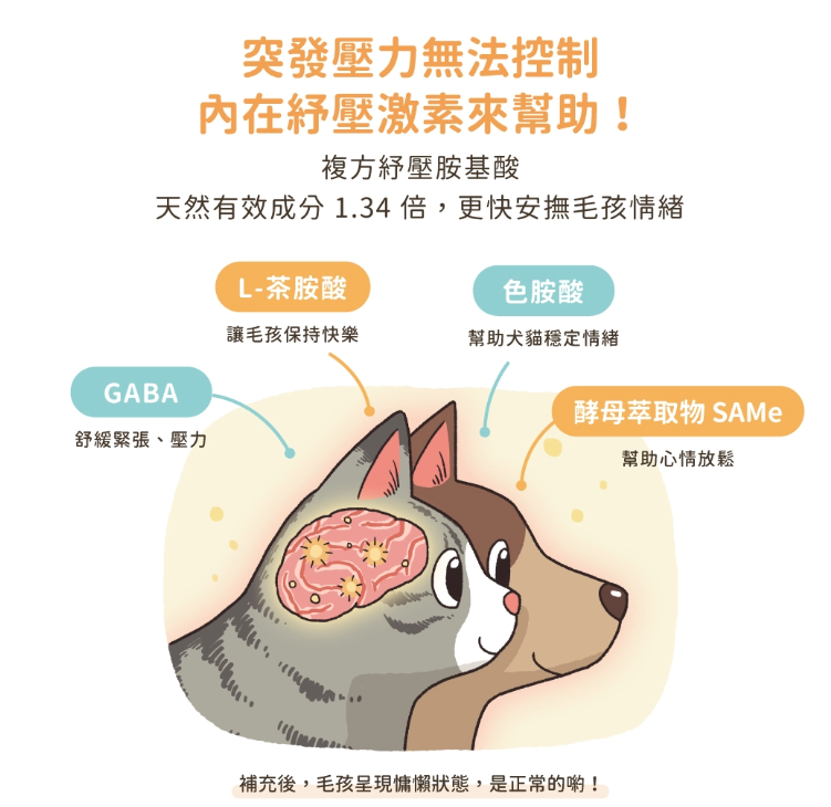【台灣汪喵星球】99% 純牛磺酸 100g | 貓咪必需胺基酸/顧心臟視網膜保健 HK$135