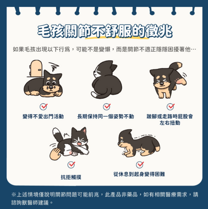汪喵星球｜UC-II 關節保養粉（MSM 強效加強配方）35顆/120顆 裝 【進階修護，舒緩關節不適感】【貓狗保健】