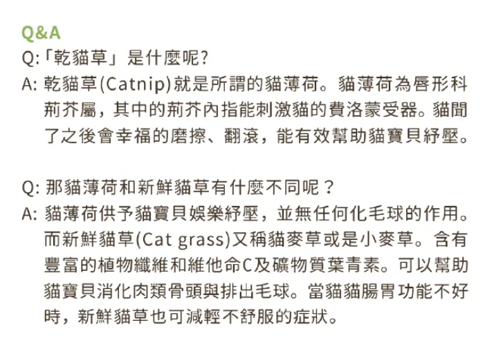 【汪喵星球】乾貓草-頂級貓薄荷棒棒 ｜ 嚴選頂級高純度貓草・舒緩情緒 X 催嗨紓壓（貓奴瘋搶吸貓神器）