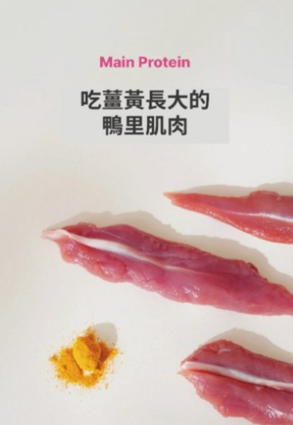 韓國製造Cho and Kang 朝貢5KM功能性天然有機營養蔬果肉泥 -鴨胸肉 (抗氧化 抵抗力)貓狗食 1包4條 14g x 4