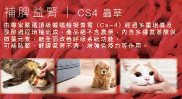 Maxwell|CS4蟲草膠囊60粒 貓狗食用  適合哮喘·呼吸道健康需要或有助腎臟健康