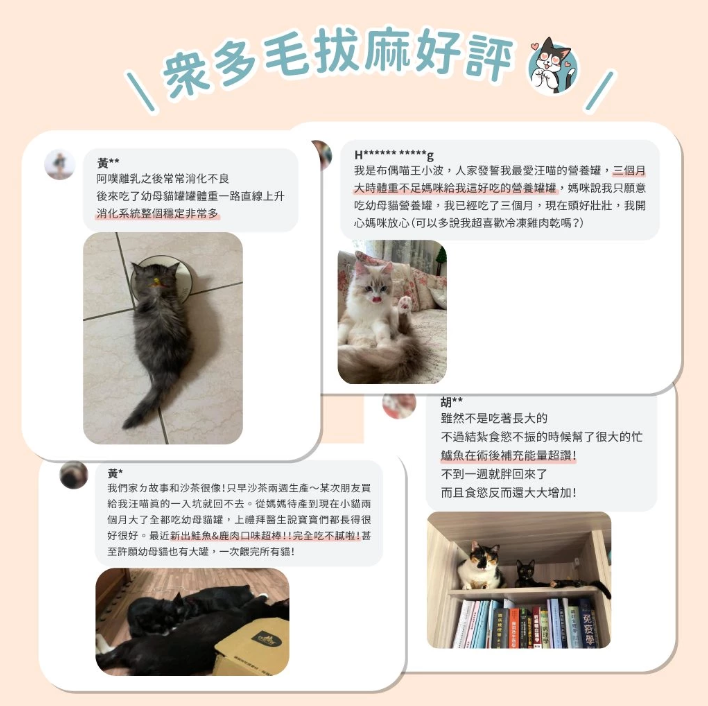【黃金發育期專用】*汪喵星球* 幼母貓營養無膠主食罐 (80g) | 4款口味・高鈣發育配方・絕不含卡拉膠