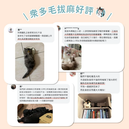 【黃金發育期專用】*汪喵星球* 幼母貓營養無膠主食罐 (80g) | 4款口味・高鈣發育配方・絕不含卡拉膠