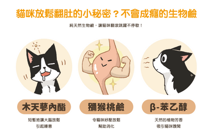 【汪喵星球】頂級木天蓼蟲癭果棒棒 (多款規格) ｜ 野生天然無農藥・紓壓解悶 X 溫和潔牙（貓咪紓壓神器）