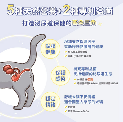 汪喵星球｜泌尿道健康保養粉（新升級版）90顆 【全方位守護，營造健康泌尿道環境】【貓狗保健】
