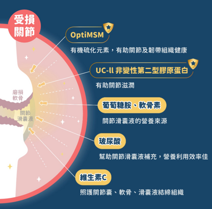 汪喵星球｜UC-II 關節保養粉（MSM 強效加強配方）35顆/120顆 裝 【進階修護，舒緩關節不適感】【貓狗保健】